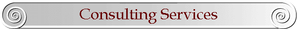 Consulting Services